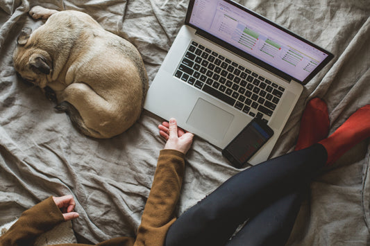 Quieting the Mental Noise: How Smart Workspace Design Elevates Focus and Well-being