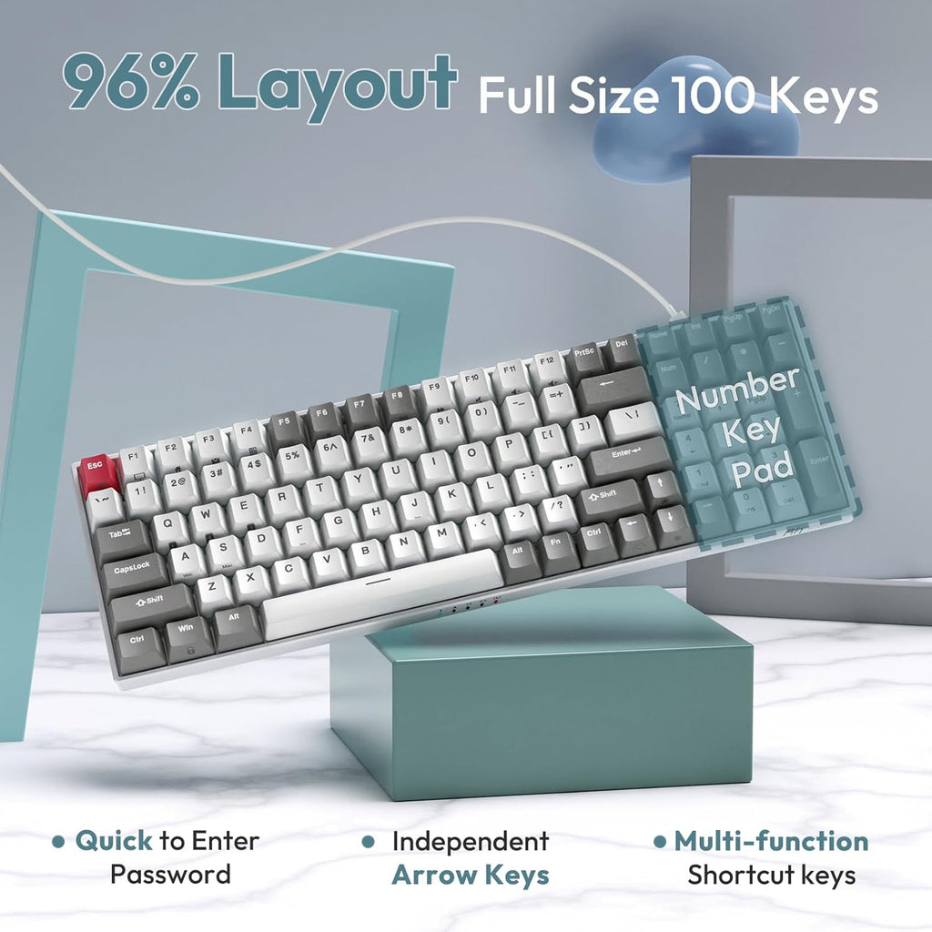 RK100 Wireless Mechanical Keyboard RGB Backlit Bluetooth5.1/2.4G/Wired 96% Full Size 100-Key Hot Swappable Gaming Keyboard Red Switch Classic